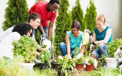 5 Reasons Gardening is Good For Your Health