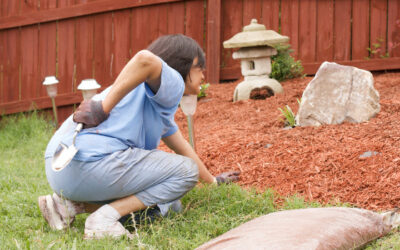 Preparation for Gardening: The Warm-Up