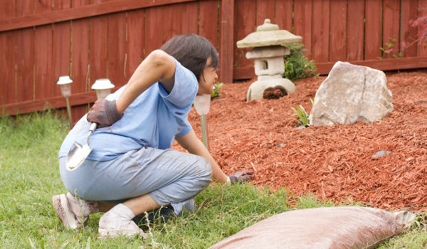 Preparation for Gardening: The Warm-Up