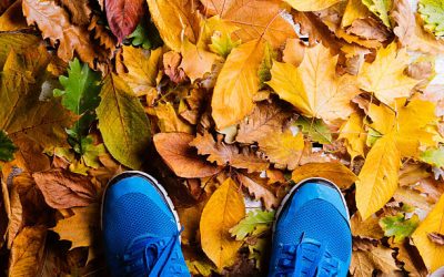 Fall into Wellness: Gentle Activities to Keep You Moving This Season