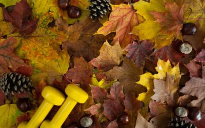 Gratitude in Motion: How Thankfulness Can Improve Your Physical Health